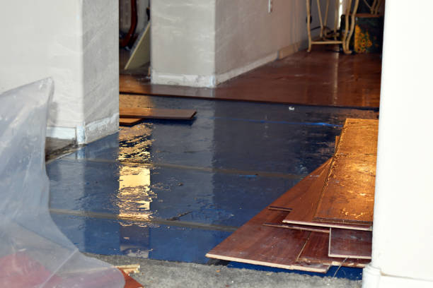 Professional Burst Pipe Water Damage technician working in Milbridge, ME